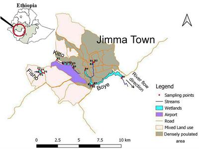 Water Purifying Capacity of Natural Riverine Wetlands in Relation to Their Ecological Quality